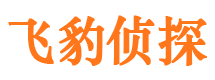 平桥市侦探公司